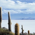 Salar de Uyuni Bolivia