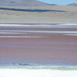 Uyuni Laguna Colorada